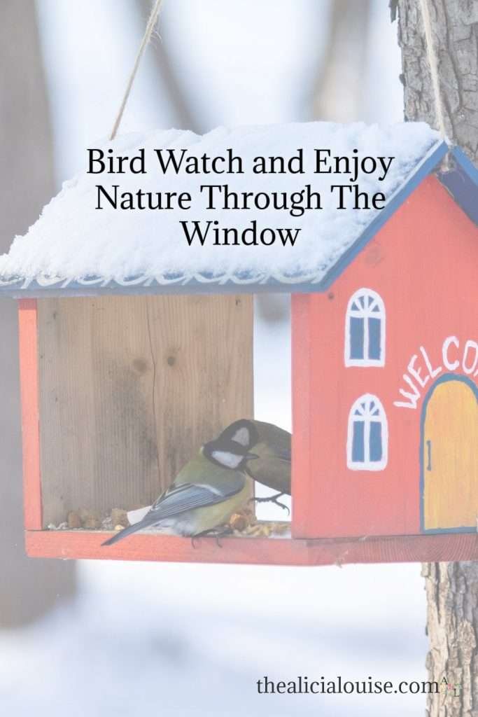 Stay entertained in knee surgery rehab with these great tips! Bird watch and enjoy nature through the window. Click here to read more!
